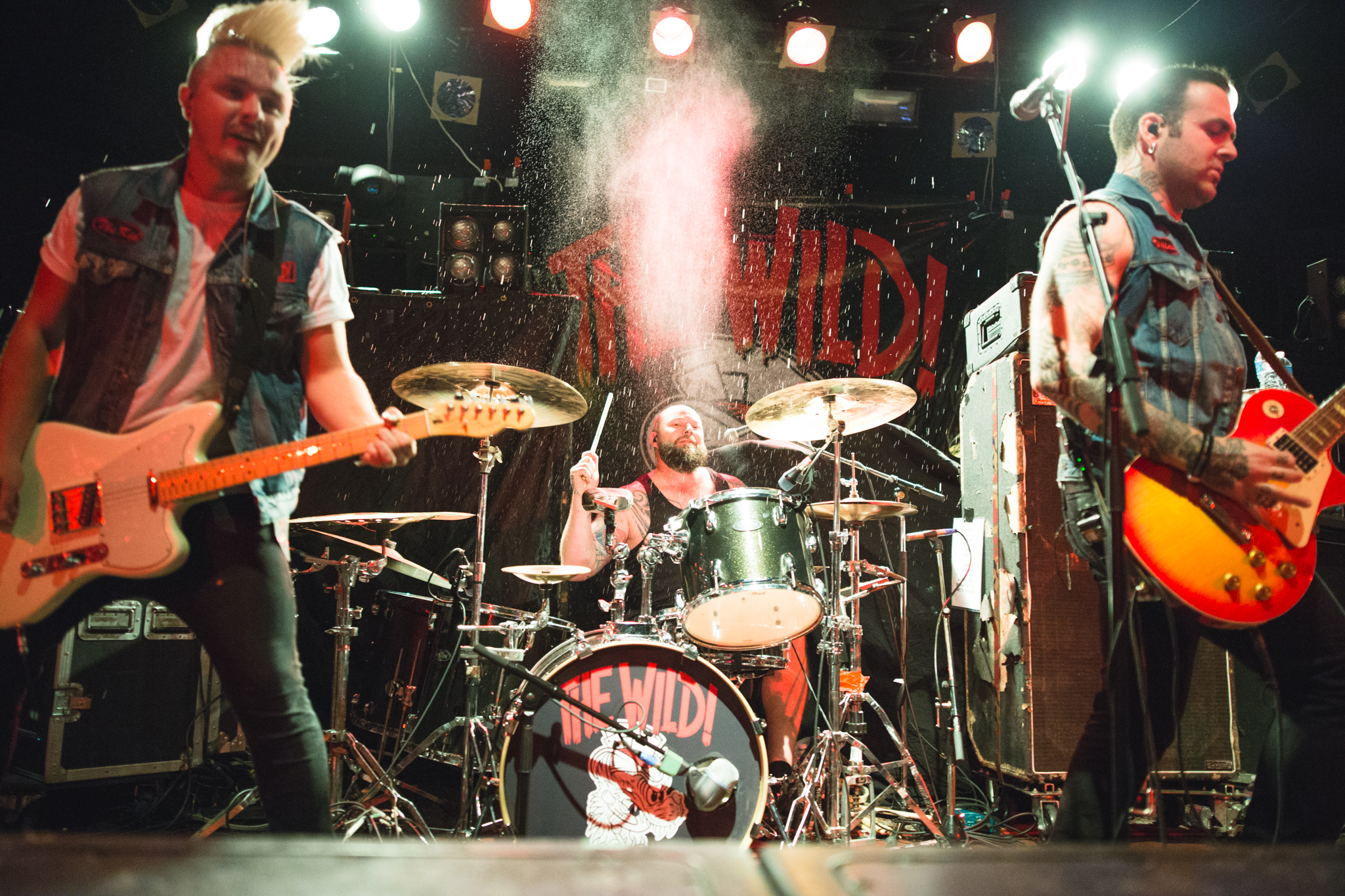 The Wild - Photo by Lindsey Blane